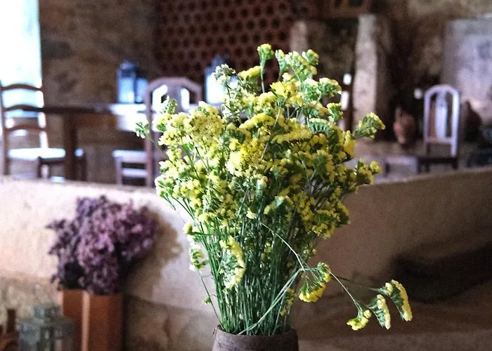 Quinta Maria Gil - A Appartement